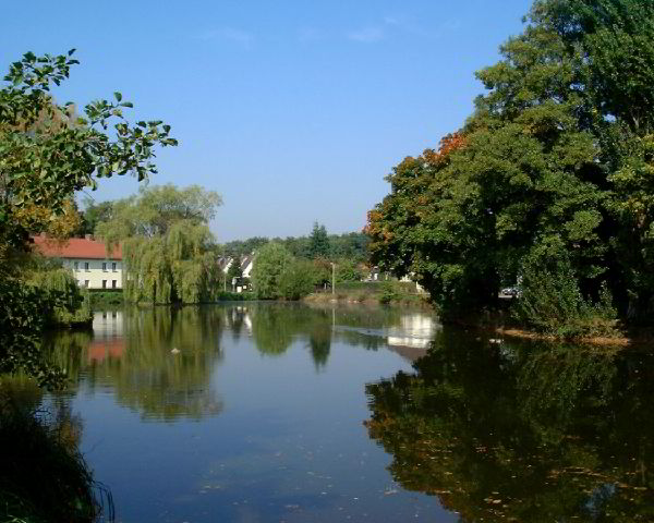 Boxdor Weiher im Sommer302