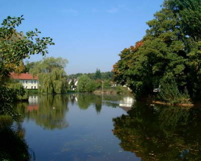 Boxdor Weiher im Sommer3