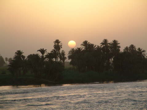 DSCF0135