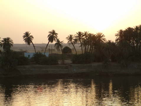DSCF0255