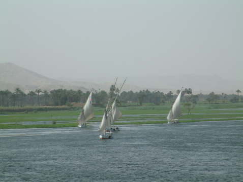 DSCF0274