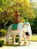 Weier Elefant in Chiang Mai